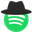 Anonymize Song Radio