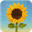 Image Shader