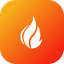 FHIR icon