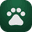 Search Cat Images