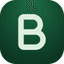 Bit Parser icon