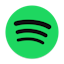 Spotify Player icon