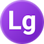 Large Type logo